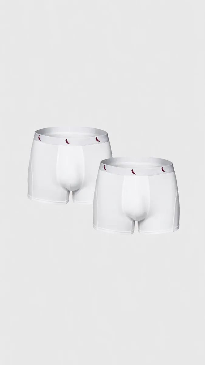 Kit Cuecas Boxer Reserva Masculino Red Bird