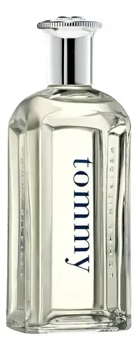 Perfume Eau De Toilette Masculino 100ml Tommy Hilfiger