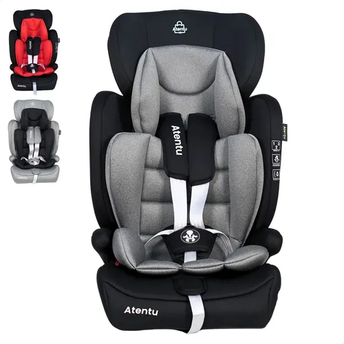 Cadeirinha Infantil Para Carro 9-36kg Passeio Com Segurança (3 cores)