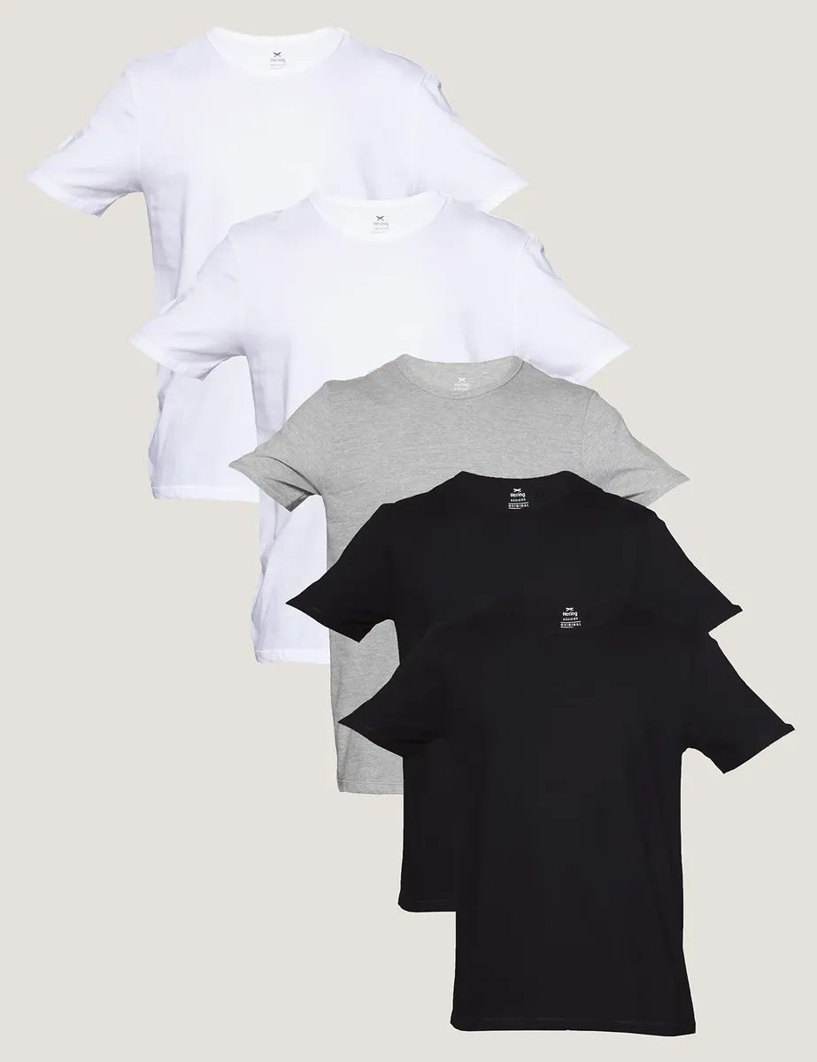 Kit Com 5 Camisetas Básicas Hering