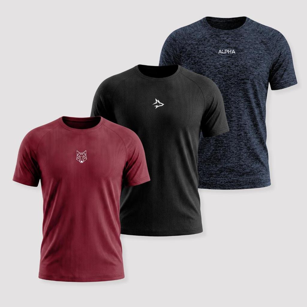 ✅ Kit 3 Camisetas Dry Alpha