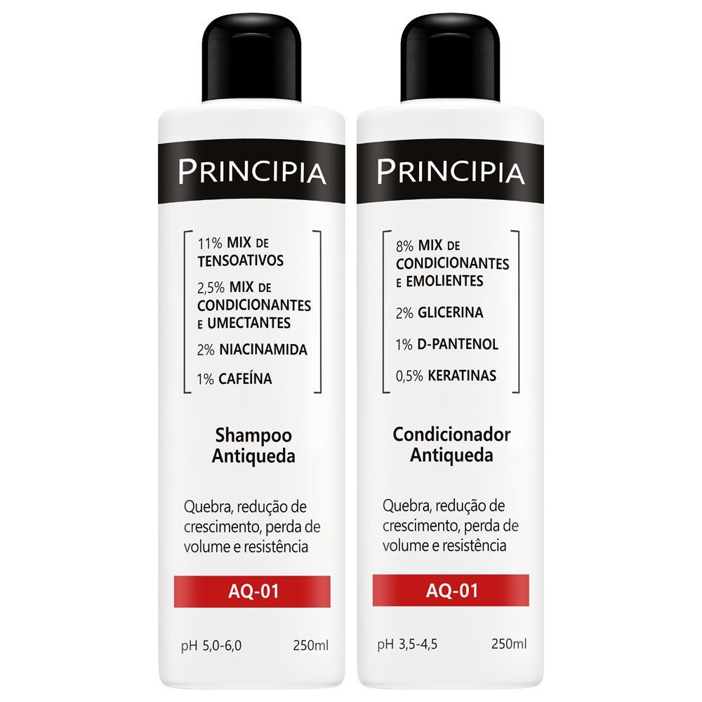 Principia Kit Antiqueda AQ-01